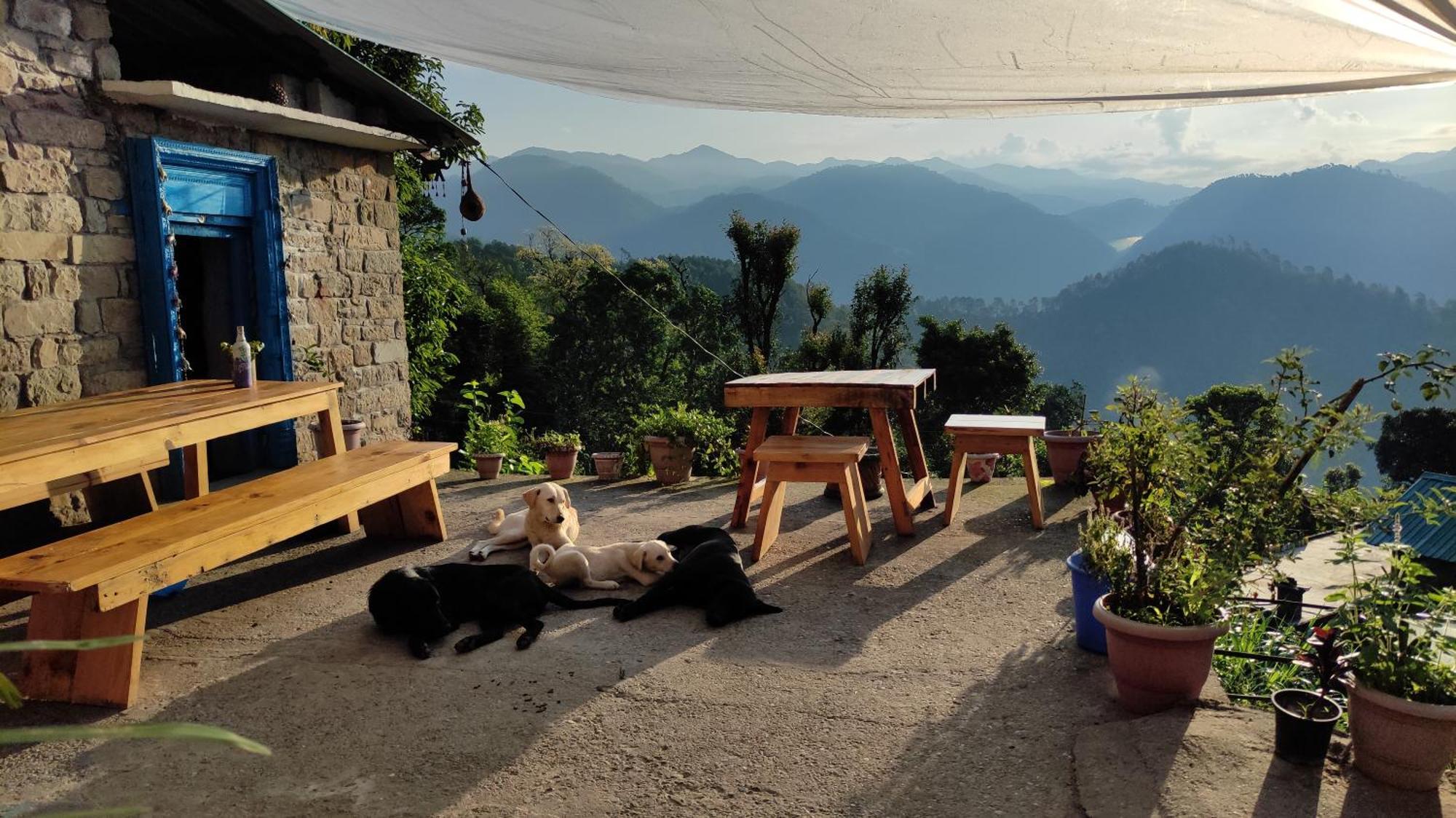 Vista Hostel Jeolikote, Nainital Patwa Dunga Номер фото